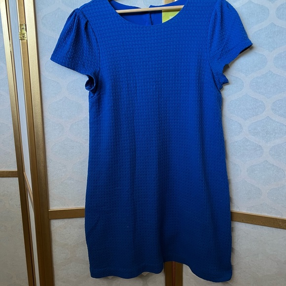 ANTHROPOLOGIE | Maeve Capsleeve Shift Dress - Picture 3 of 7